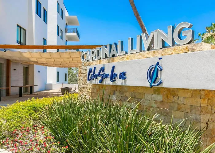 Dream At Cardinal Living Cabo San Lucas