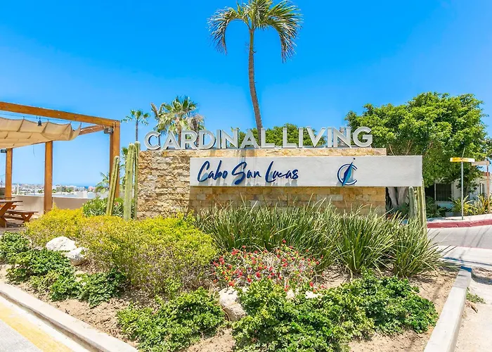 Dream At Cardinal Living Cabo San Lucas